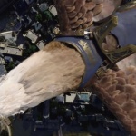 Warcraft