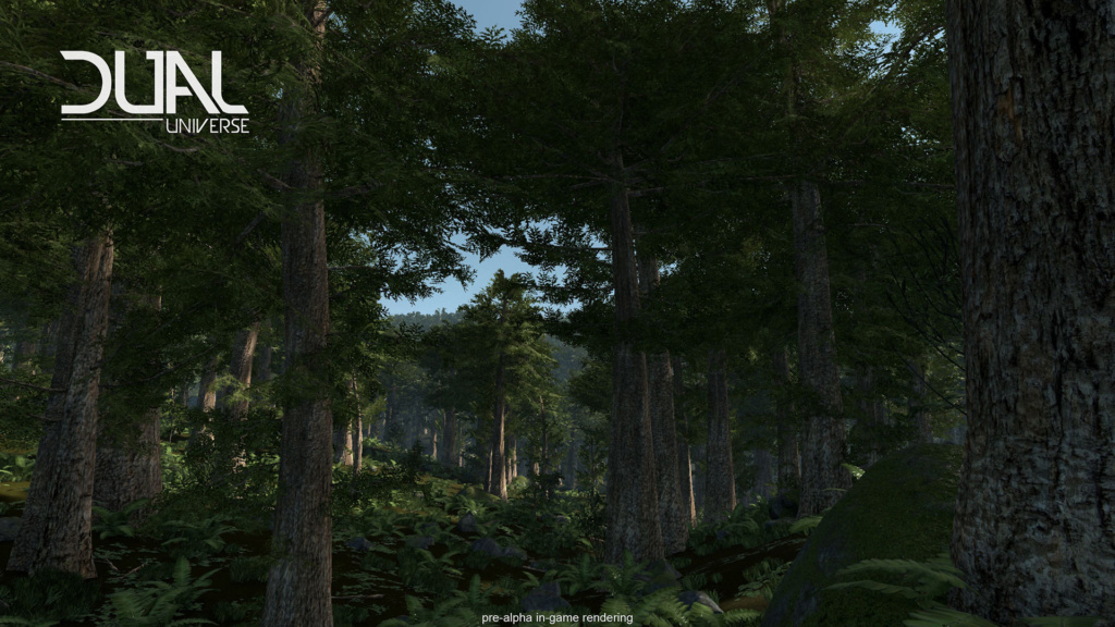 dual-universe-forest